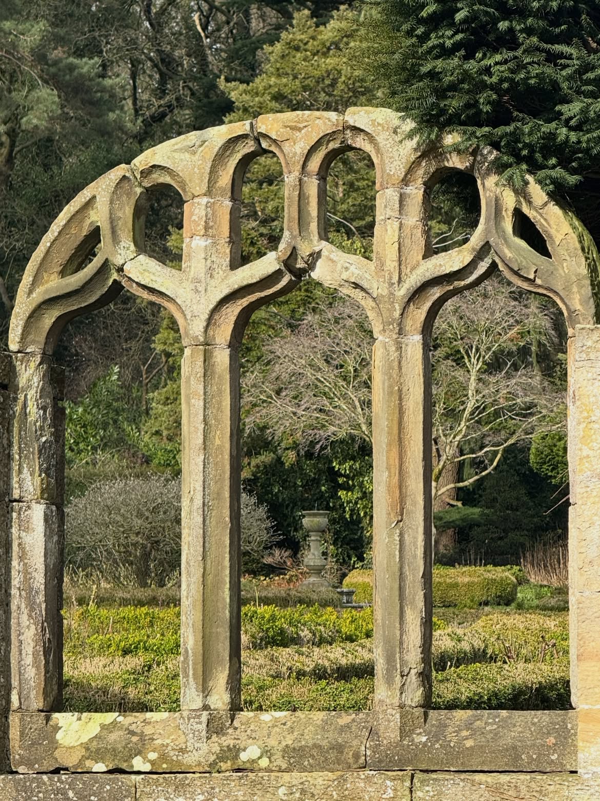 The ruins within the Gwysaney Hall grounds